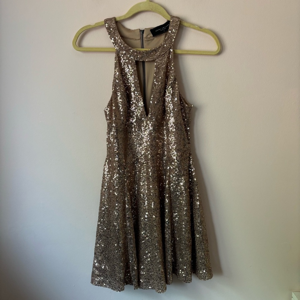 Akira Rose Gold Skater Dress